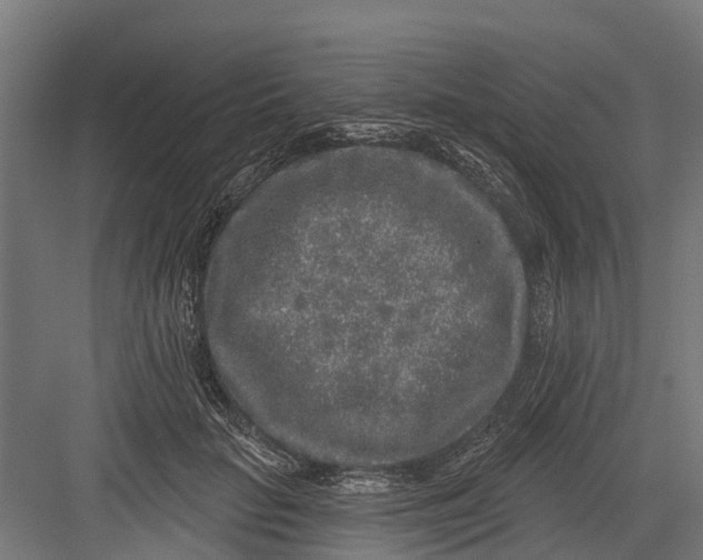 X0000082680653200702161659