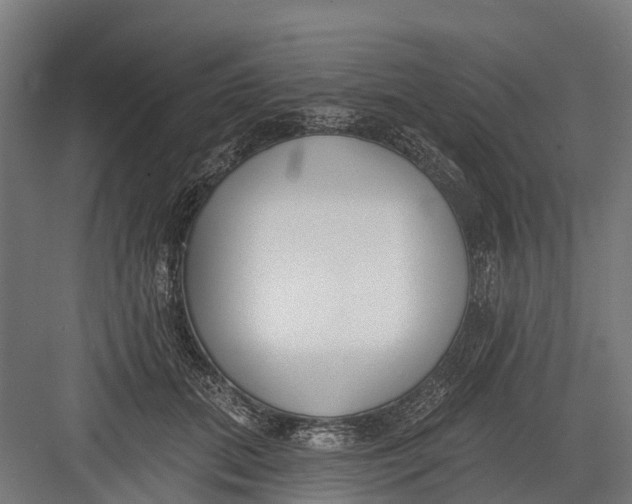 X0000082680655200702161659