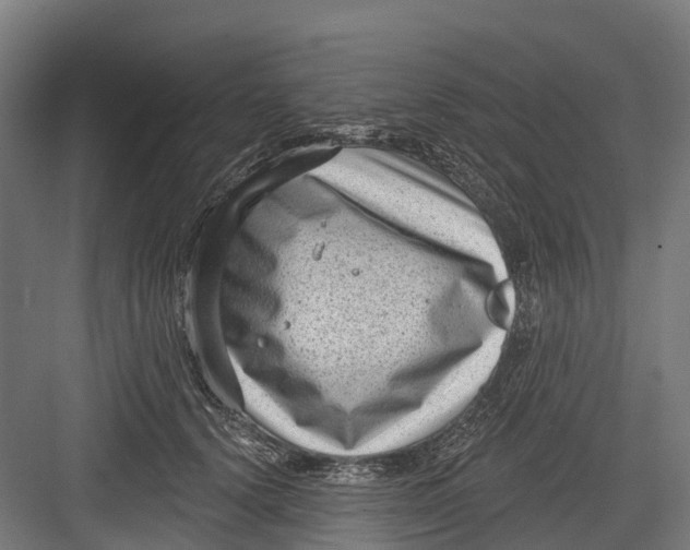 X0000082680656200702161659