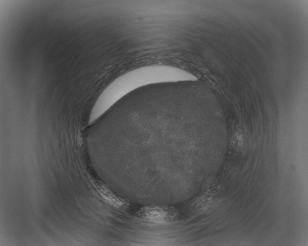 X0000082680658200702161659