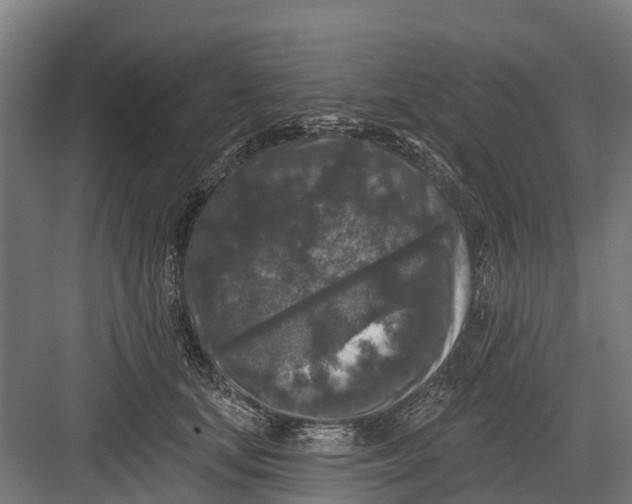 X0000082680659200702161659