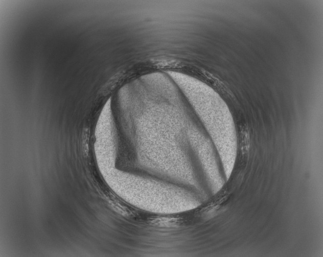 X0000082680664200702161659