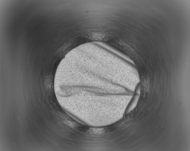 X0000082680665200702161659