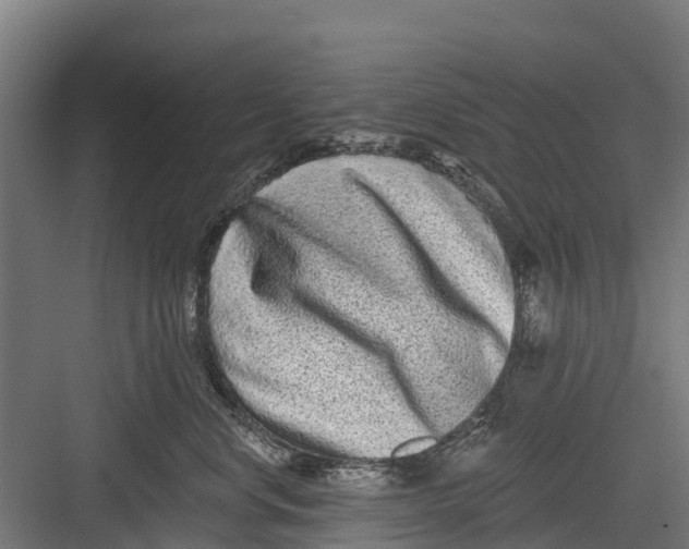 X0000082680668200702161659