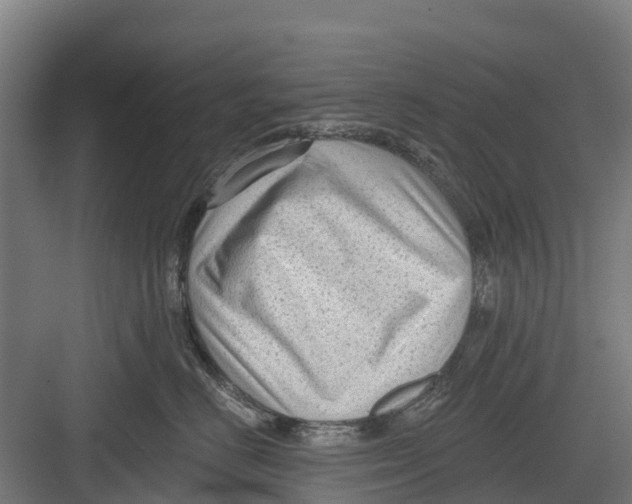 X0000082680670200702161659