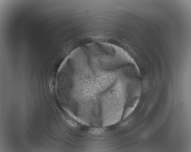 X0000082680671200702161700