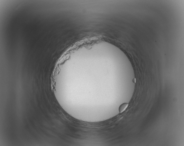 X0000082680672200702161700