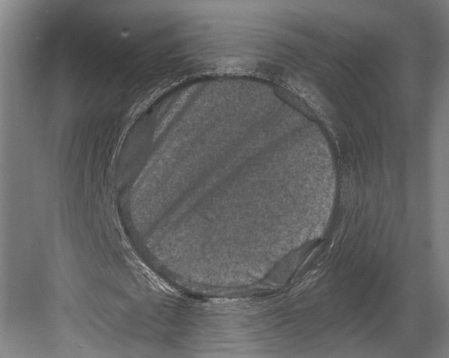 X0000082680673200702161659