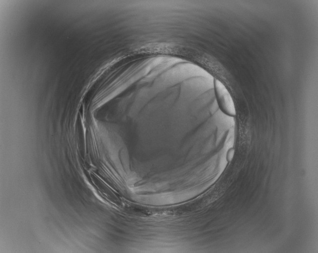 X0000082680674200702161659