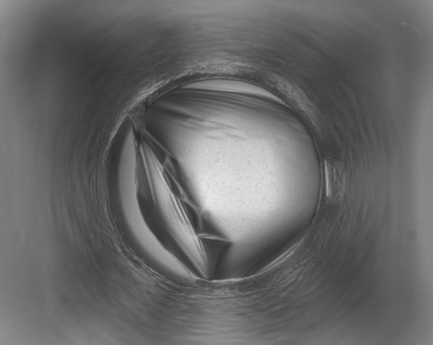 X0000082680675200702161659