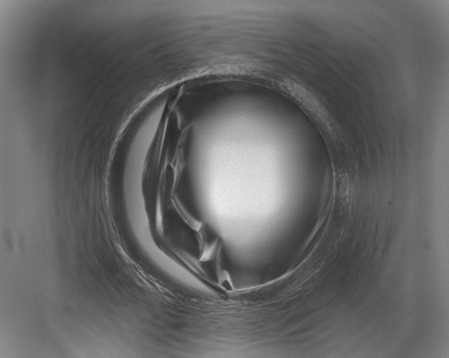 X0000082680676200702161659