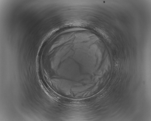 X0000082680678200702161659