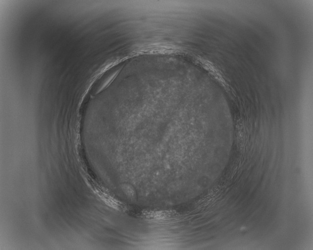 X0000082680679200702161659