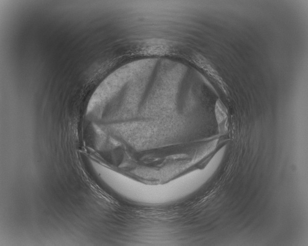 X0000082680681200702161659