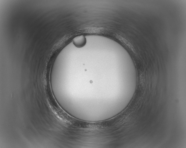 X0000082680682200702161659