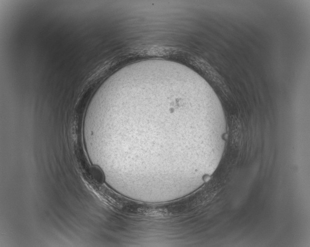 X0000082680683200702161659