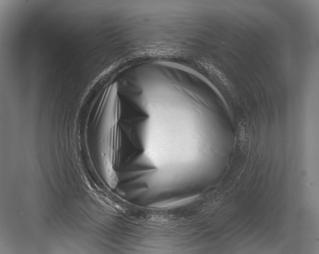 X0000082680684200702161659