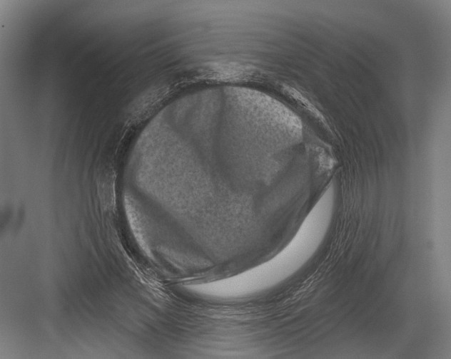 X0000082680685200702161659