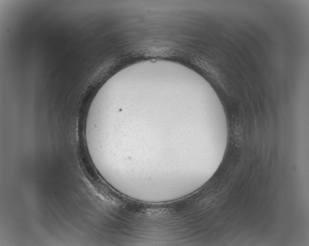 X0000082680686200702161659