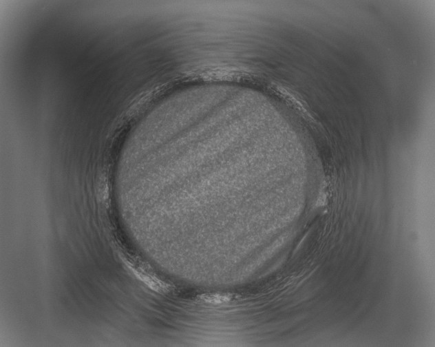 X0000082680687200702161658