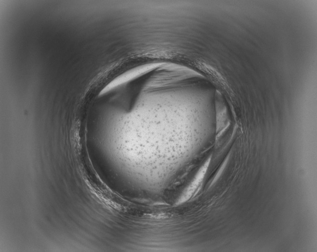 X0000082680688200702161658