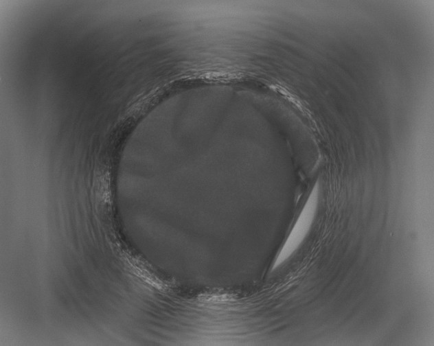 X0000082680689200702161658