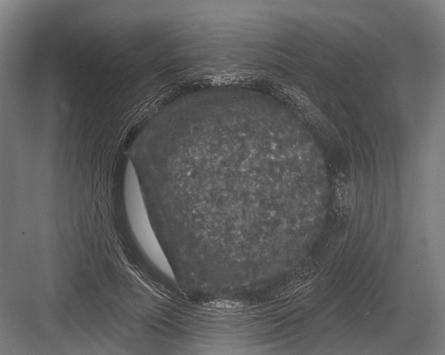 X0000082680691200702161658