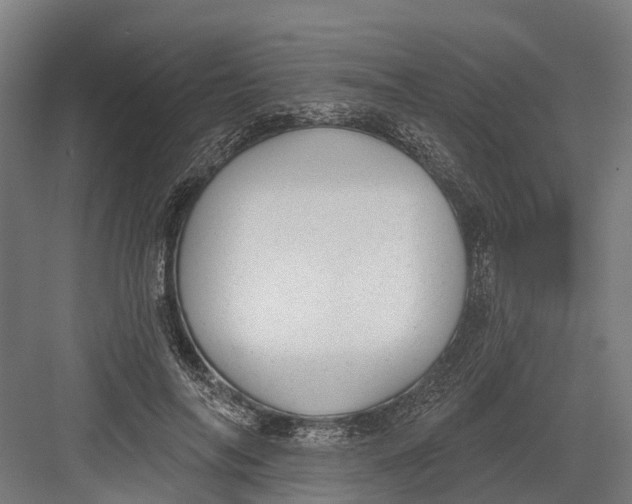 X0000082680694200702161658