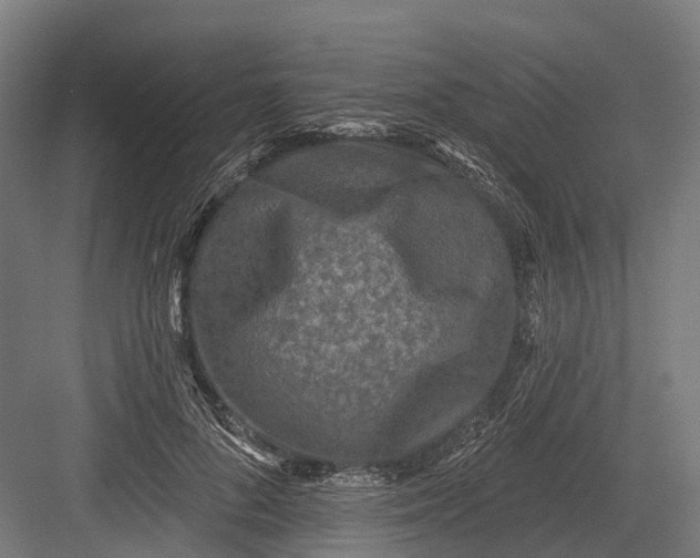 X0000082680696200702161658