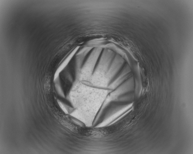 X0000082680697200702161658