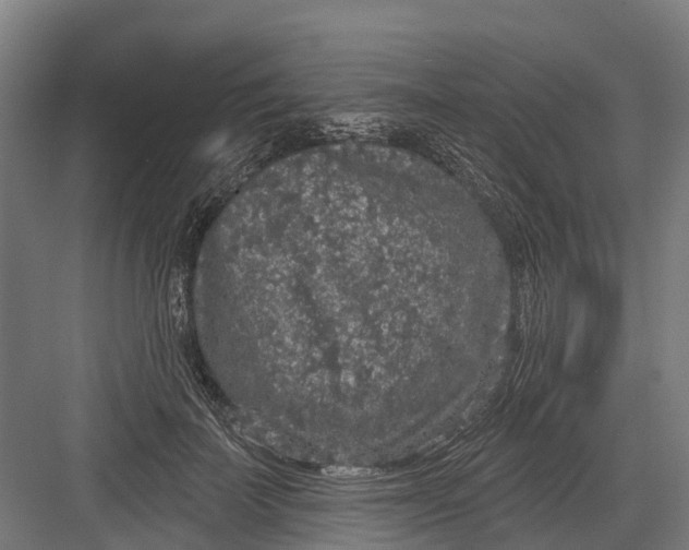 X0000082680699200702161658