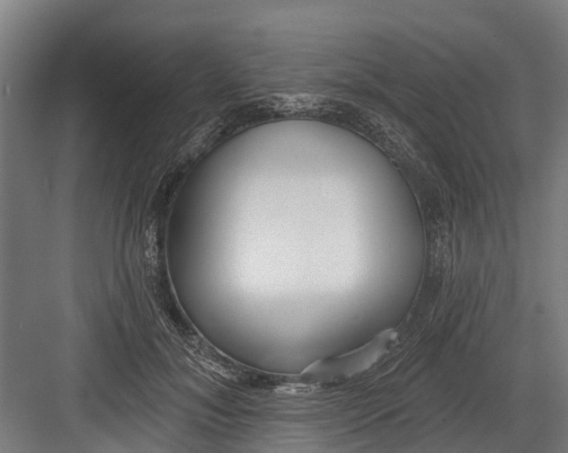 X0000082680700200702161658