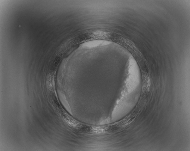 X0000082680701200702161658