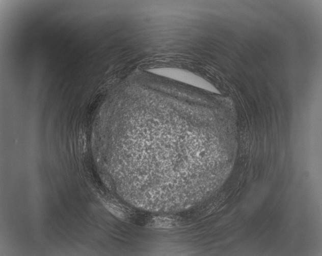 X0000082680703200702161658