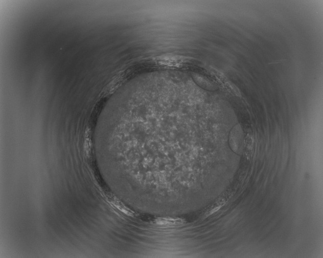 X0000082680707200702161658