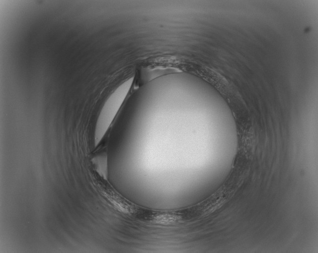 X0000082680708200702161658