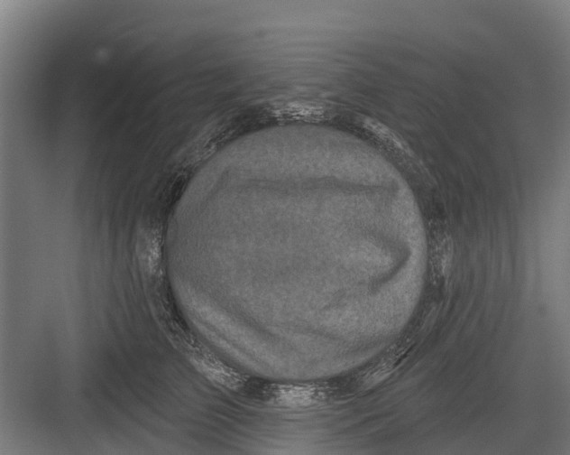 X0000082680709200702161658