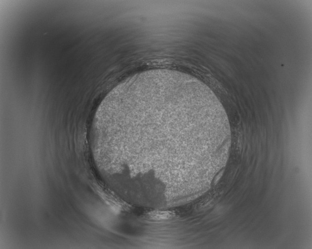 X0000082680711200702161658