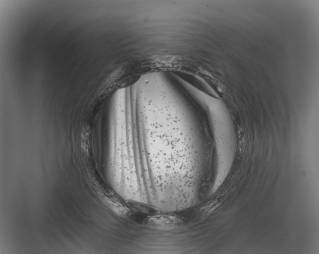 X0000082680712200702161658