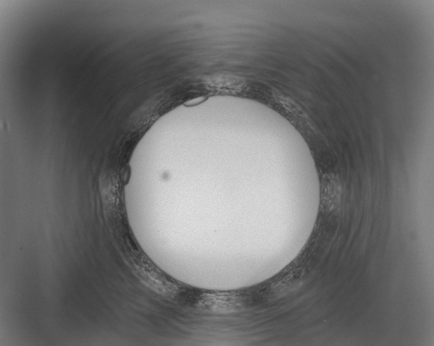 X0000082680713200702161658