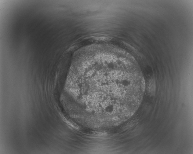 X0000082680715200702161658