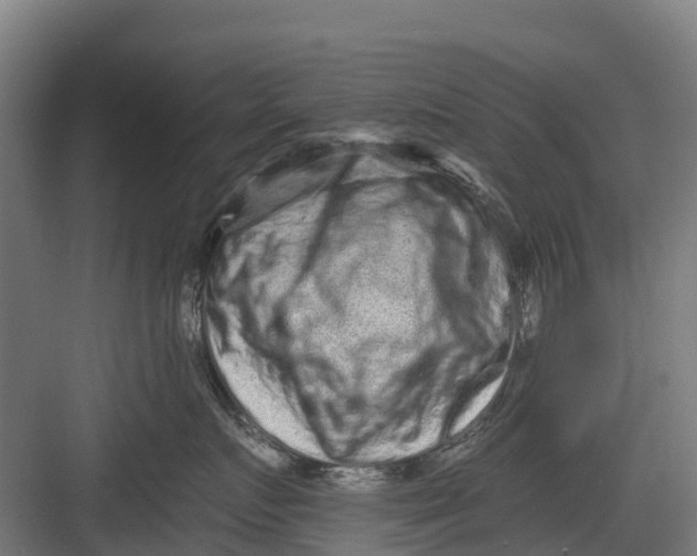 X0000082680719200702161658