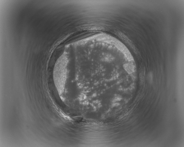 X0000082680721200702161657