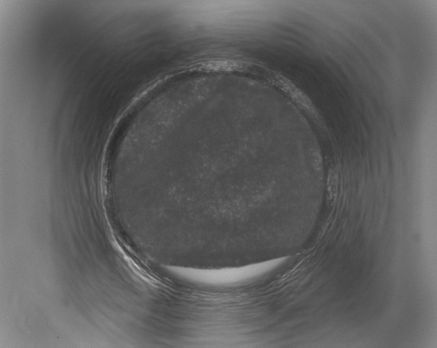 X0000082680722200702161657