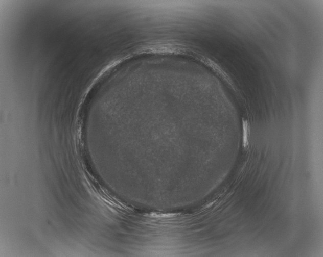 X0000082680723200702161657