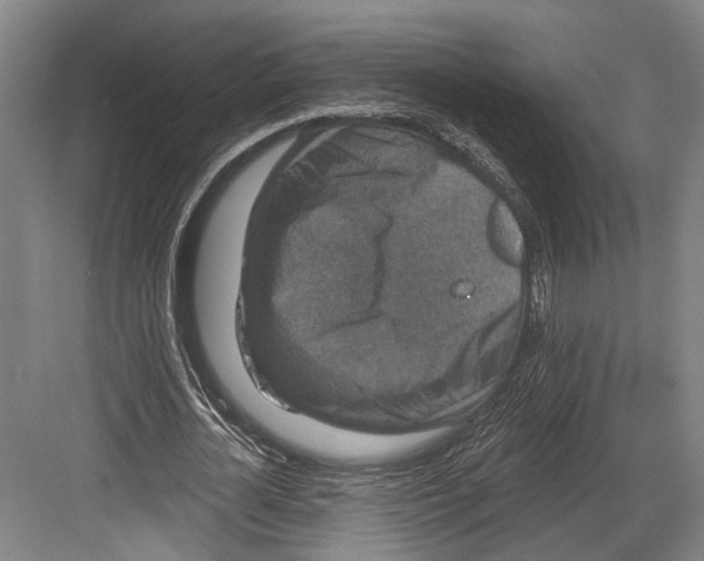 X0000082680724200702161657