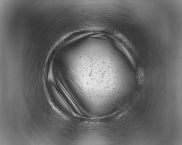 X0000082680726200702161657