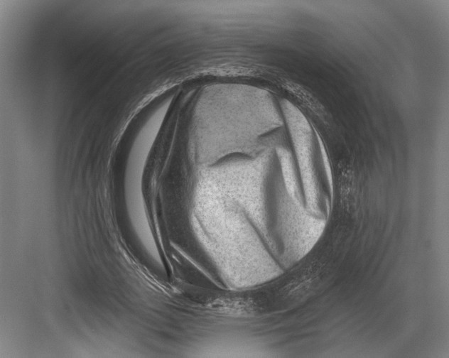 X0000082680727200702161657