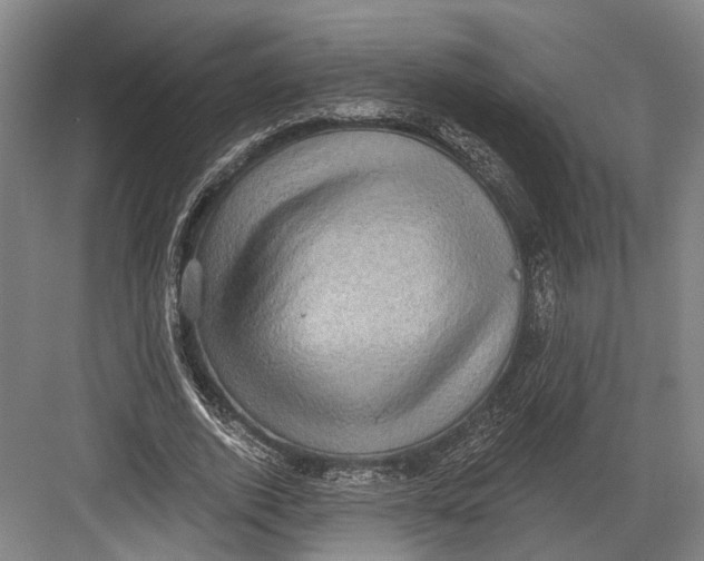 X0000082680728200702161657