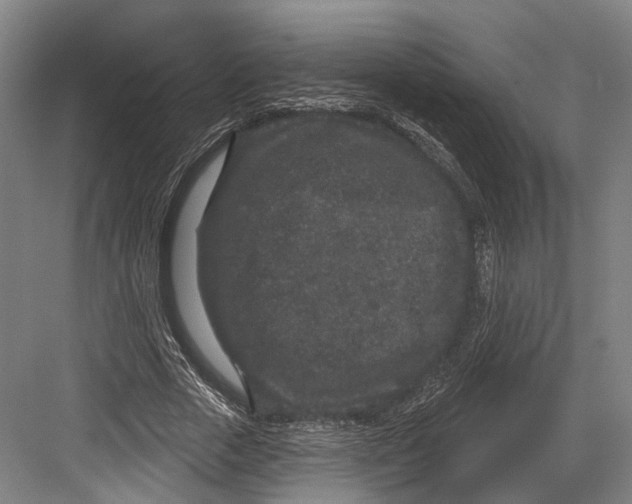 X0000082680729200702161657